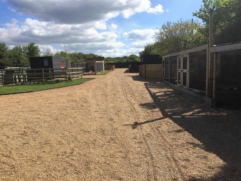 Willow Court Farm Studio South & Petting Farm, 8 Mins From Legoland & Windsor, 15 Mins From Lapland Uk Exteriör bild