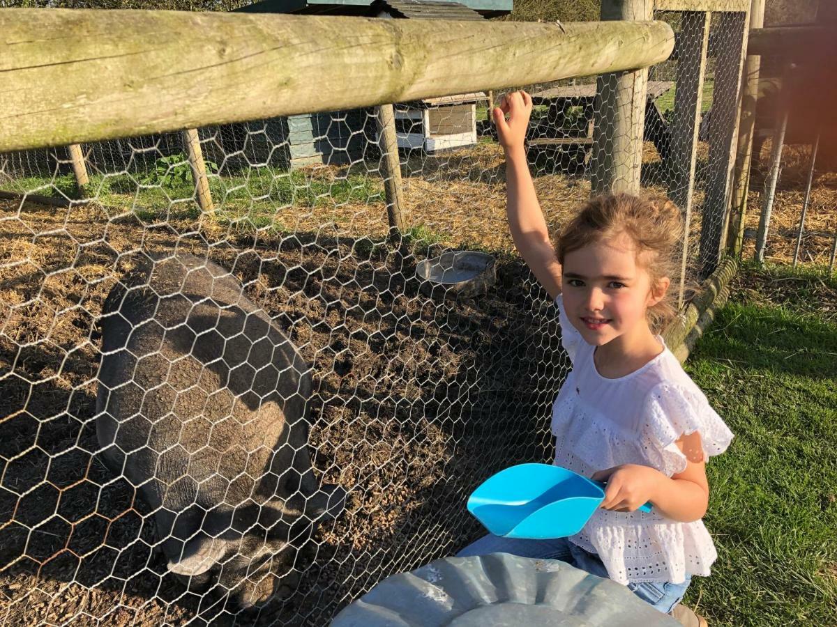 Willow Court Farm Studio South & Petting Farm, 8 Mins From Legoland & Windsor, 15 Mins From Lapland Uk Exteriör bild