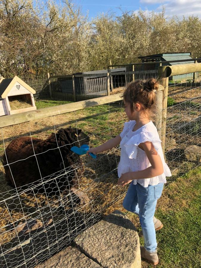 Willow Court Farm Studio South & Petting Farm, 8 Mins From Legoland & Windsor, 15 Mins From Lapland Uk Exteriör bild