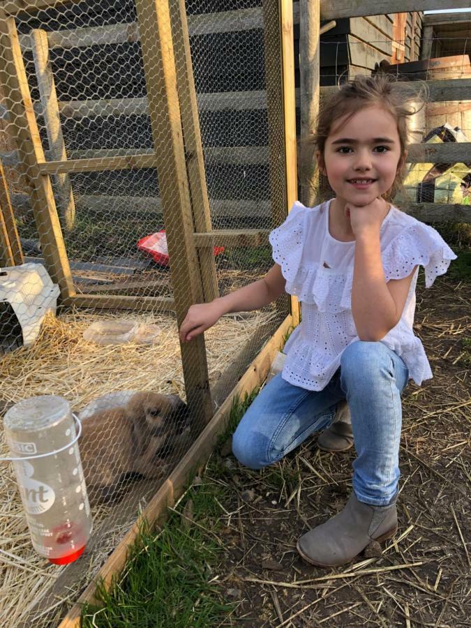 Willow Court Farm Studio South & Petting Farm, 8 Mins From Legoland & Windsor, 15 Mins From Lapland Uk Exteriör bild